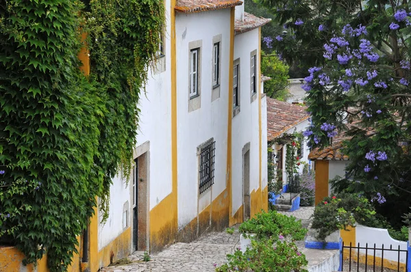 2010年7月3日 葡萄牙奥比多斯 风景秀丽的城市 — 图库照片