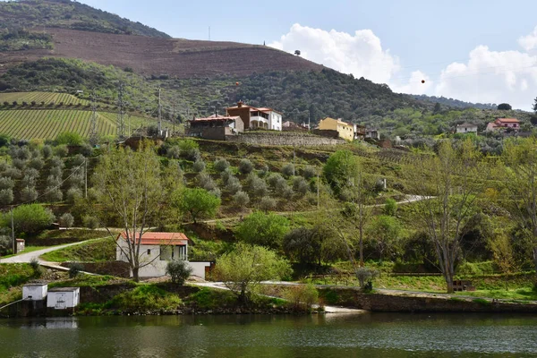 Douro Vadisi Portekiz Mart 2022 Pinhao Yakınlarındaki Pitoresk Nehir — Stok fotoğraf