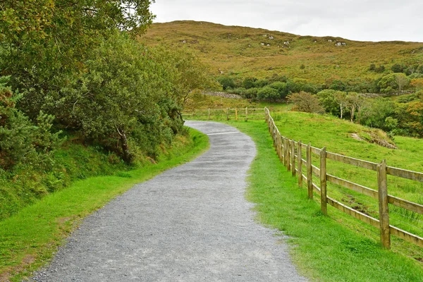 Letterfrack Írország Szeptember 2022 Connemara Nemzeti Park — Stock Fotó