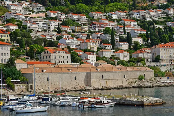 Dubrovnik Croacia Agosto 2022 Pintoresco Puerto Antiguo —  Fotos de Stock