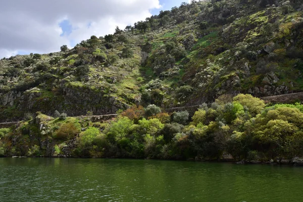 多罗山谷 葡萄牙 2022年3月25日 Presiding O附近风景如画的河流 — 图库照片