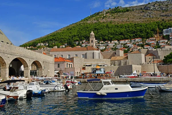 Dubrovnik Croatia August 2022 Picturesque Old Harbour — Stock Photo, Image