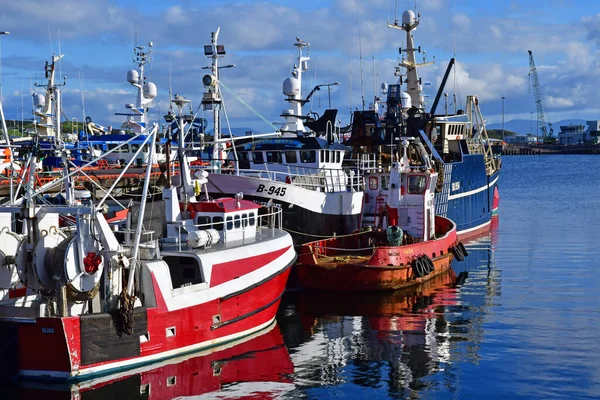 Killybegs Ireland September 2022 Рибальський Порт — стокове фото