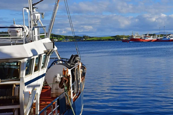 Killybegs Irland September 2022 Fiskehästen — Stockfoto