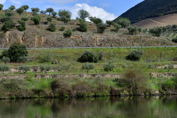 Douro Valley Portugal March 2022 Picturesque River Pinhao — Stock Photo, Image