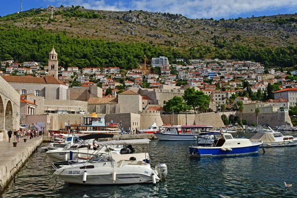 Dubrovnik Croatia August 2022 Picturesque Old Harbour — Foto Stock