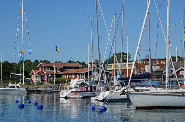 スウェーデン ニンシャマン2011年6月26日 絵のように美しい村 — ストック写真
