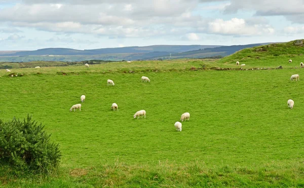 stock image Portaneevey, Northern Ireland - september 15 2022 : the seaside landscape