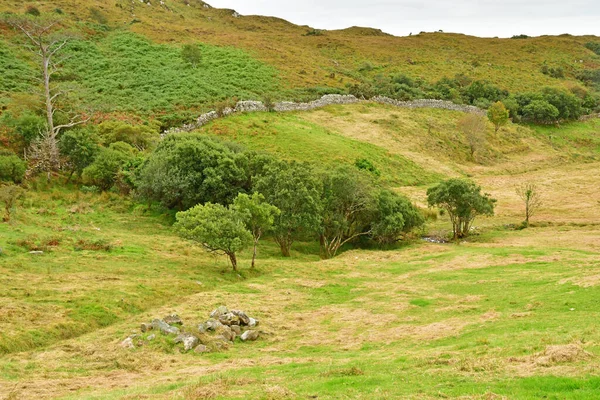 Letterfrack Ierland September 2022 Nationaal Park Connemara — Stockfoto