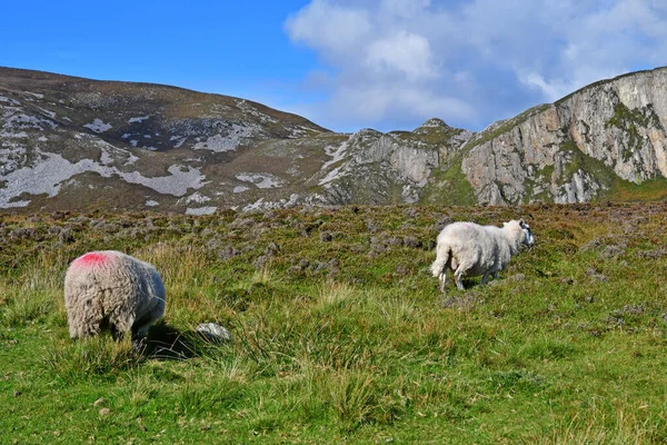 stock image county of Donegal, Ireland - september 15 2022 : the Slieve League