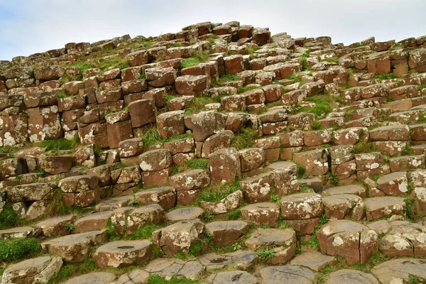 stock image Bushmills, Northern Ireland - september 15 2022 : the Giant's Causeway