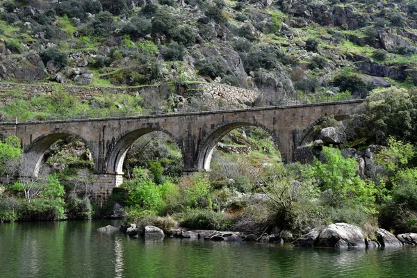 Dolina Douro Portugalia Marca 2022 Malownicza Rzeka Pobliżu Pinhao — Zdjęcie stockowe