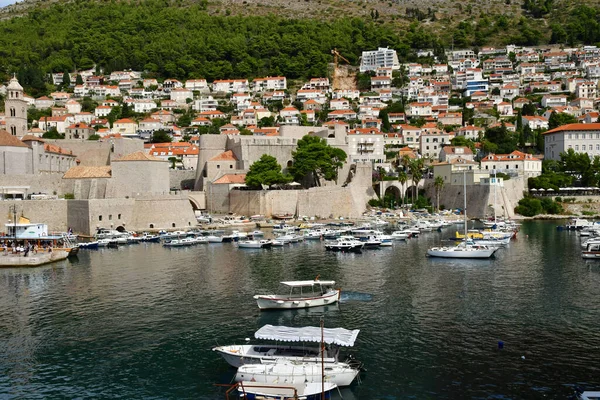 Dubrovnik Croacia Agosto 2022 Pintoresco Puerto Antiguo — Foto de Stock