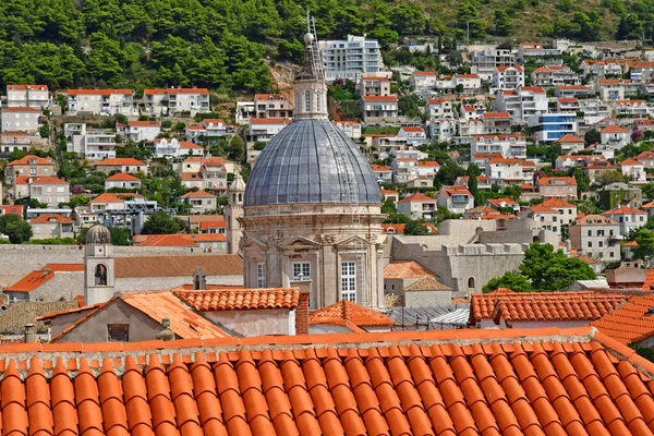 Dubrovnik Croatia August 2022 Cathedral Assumption Virgin Mary — Fotografia de Stock