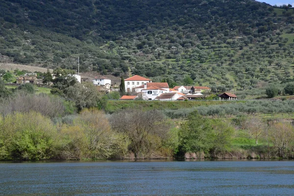 多罗山谷 葡萄牙 2022年3月25日 Presiding O附近风景如画的河流 — 图库照片