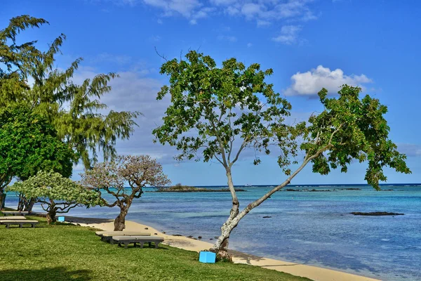 Grand Baie Republic Mauritius Июля 2014 Picturesque Pointe Aux Canonniers — стоковое фото