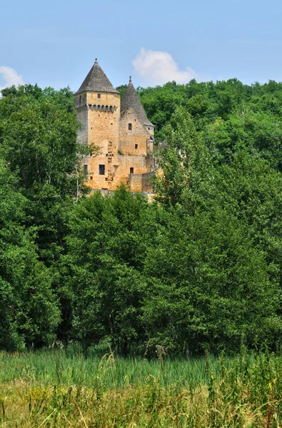 Марке Франция Август 2016 Живописный Замок Лезель — стоковое фото