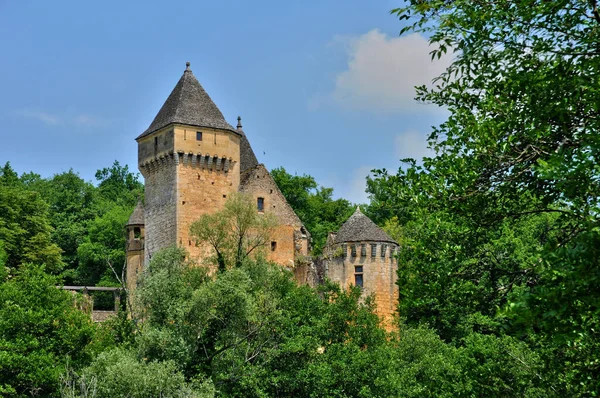 Марке Франция Август 2016 Живописный Замок Лезель — стоковое фото