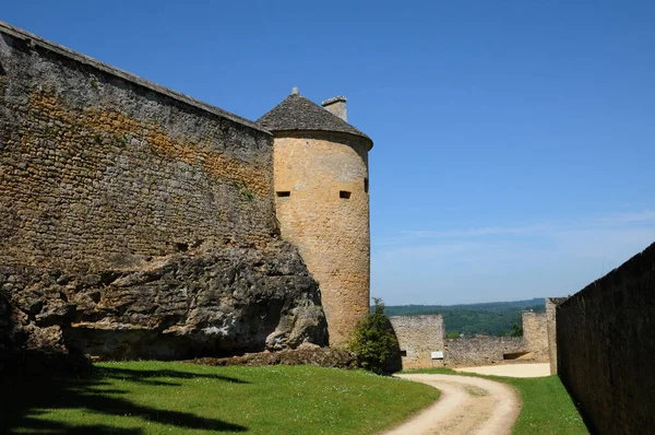 芬尔隆风景如画的城堡在多尔多涅河 — 图库照片