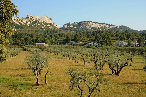 Les Baux Provence Francja Sierpień 2016 Malownicza Wioska — Zdjęcie stockowe