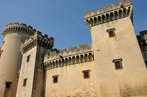 Tarascon Frankreich August 2016 Die Mittelalterliche Burg — Stockfoto