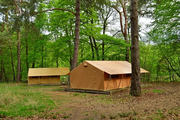 纪尧姆 2023年5月2日 在森林里露营 — 图库照片