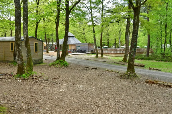 Sille Guillaume Francja Maja 2023 Camping Lesie — Zdjęcie stockowe