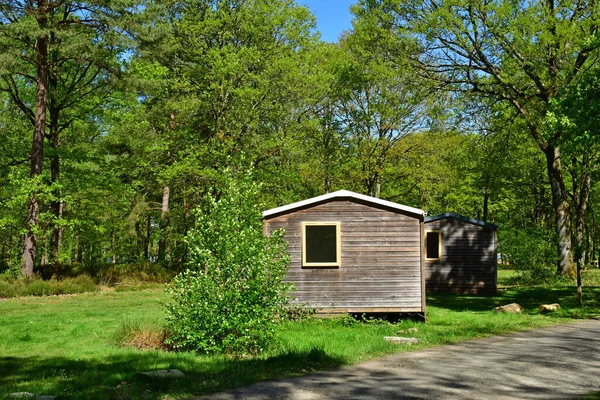 Sille Guillaume Frankrike Maj 2023 Camping Skogen — Stockfoto