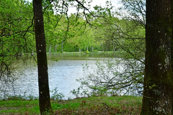 フランス 2023年5月2日森の中の湖 — ストック写真