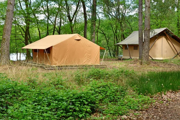 纪尧姆 2023年5月2日 在森林里露营 — 图库照片