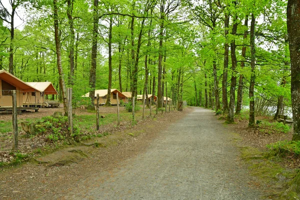 Sille Guillaume France May 2023 Camping Forest — Stock Photo, Image