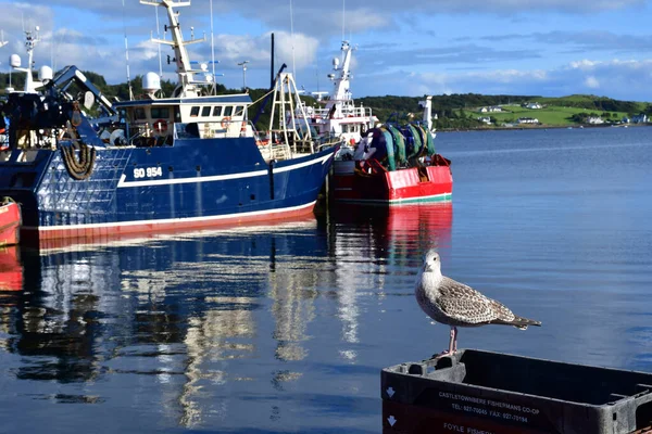 Killybegs Ireland September 2022 Рибальський Порт — стокове фото