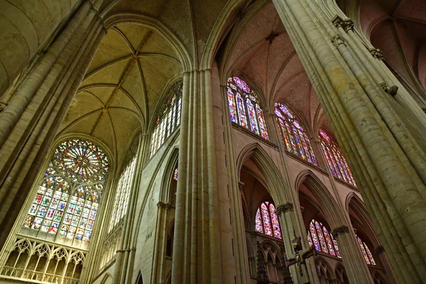 Mans Francja Maja 2023 Katedra Juliana — Zdjęcie stockowe