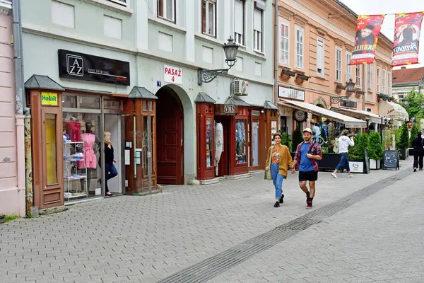 Novi Sad Sérvia Junho 2023 Pitoresco Centro Cidade — Fotografia de Stock