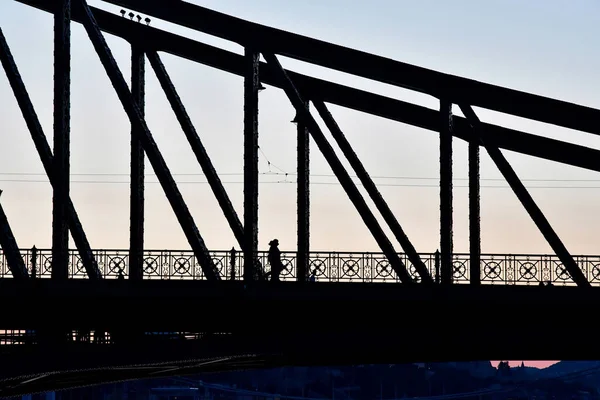 Budapest Hungary June 2023 Liberty Bridge — Stock Photo, Image