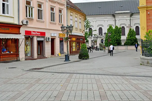 Novi Sad Servië Juni 2023 Het Pittoreske Stadscentrum — Stockfoto