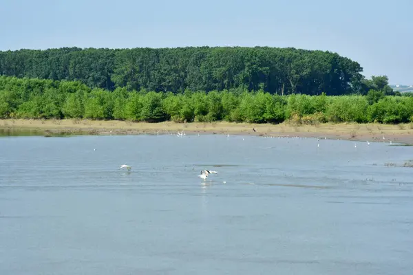 Fetesti Rumänien Juli 2023 Das Malerische Ufer Der Donau — Stockfoto