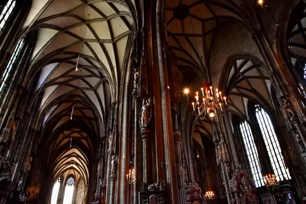 Viyana Avusturya Haziran 2023 Saint Stephen Katedrali — Stok fotoğraf