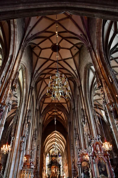 Wiedeń Austria Czerwca 2023 Katedra Szczepana — Zdjęcie stockowe