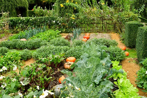 Salignac Eyvigues France October 2023 Picturesque Eyrignac Manor Gardens Stock Image