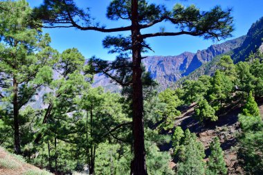 La Palma, Canary Islands - march 15 2024 :  La Caldera de Taburiente National Park clipart