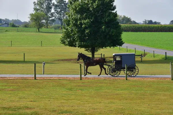 stock image Lancaster, USA - septembre  2023 : the Amish farm and house 