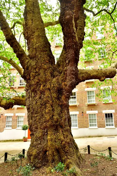 stock image London; England - may 23 2024 : the Baker s passage in the Hampstead district