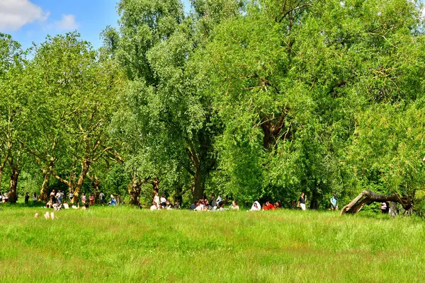 stock image London; England - may 23 2024 : the Hampstead Heath