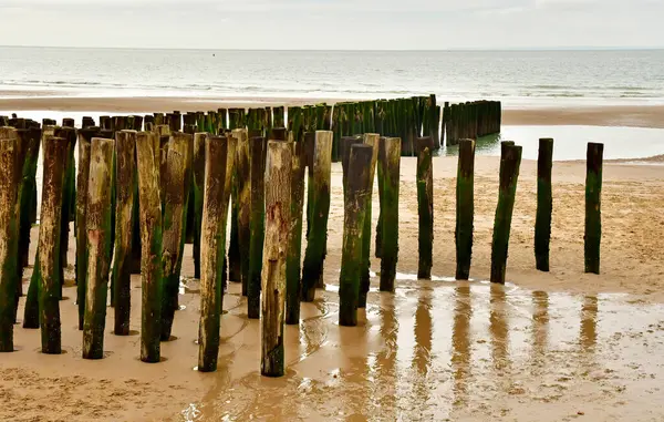 stock image Wissant; France - may 10 2024 : the seaside resort city