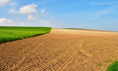 Escalles; France - may 10 2024 : the Cap Blanc Nez clipart