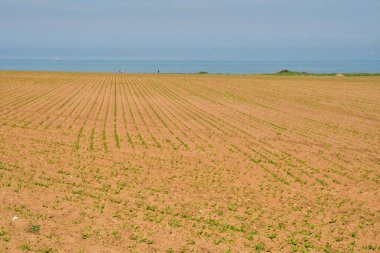 Escalles; France - may 10 2024 : the Cap Blanc Nez clipart