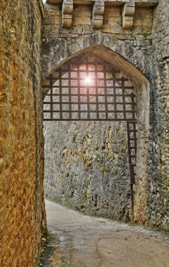 Beynac et Cazenac, France - august 18 2016 : the historical old castle built in the 12th century clipart