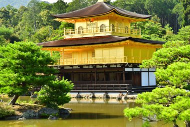 Kyoto; Japan - august 10 2024 : the Kinkaku Ji, the Golden Pavilion clipart