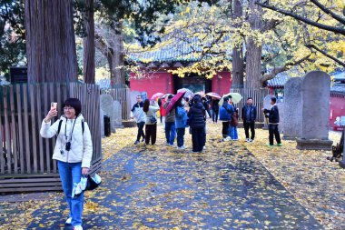 Luoyang; China - november 6 2024 : the monastery of Shaolin, the cradle of kung fu clipart